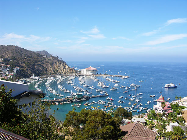 Catalina by Louis La Croix