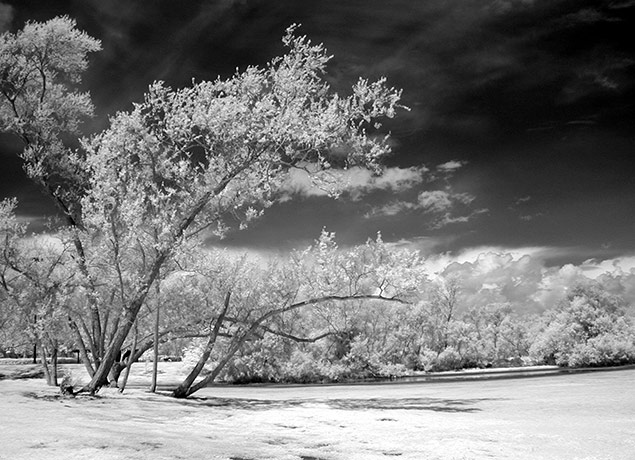 Central Park by Louis La Croix