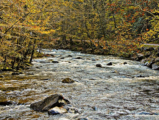 Smokey Mountain Stream by Louis La Croix